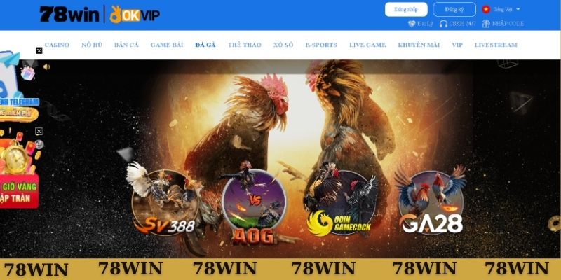 Các nền tảng phát sóng gà chọi tại 78WIN