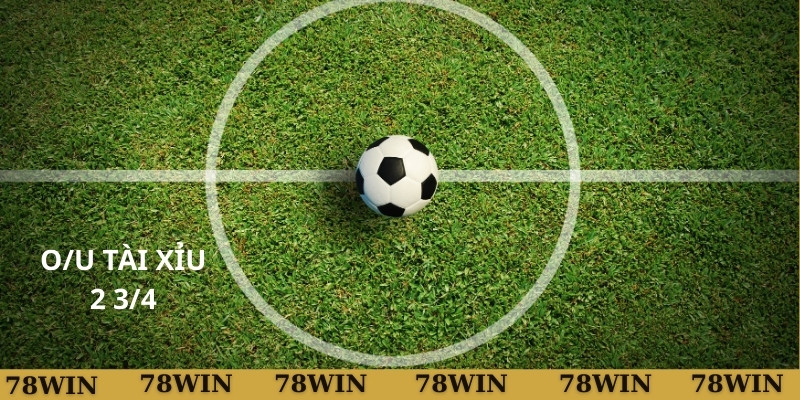 Câu hỏi thường gặp